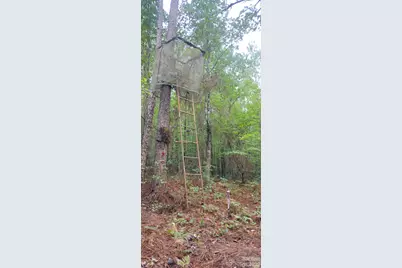 0 Nc 109 Highway S, Mount Gilead, NC 27306 - Photo 30