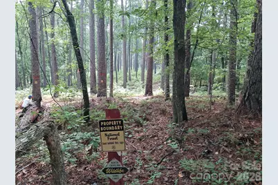 0 Nc 109 Highway S, Mount Gilead, NC 27306 - Photo 6