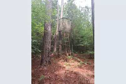 0 Nc 109 Highway S, Mount Gilead, NC 27306 - Photo 2