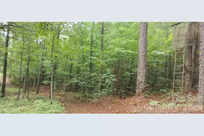 0 Nc 109 Highway S, Mount Gilead, NC 27306 - Photo 32