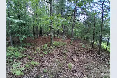 0 Nc 109 Highway S, Mount Gilead, NC 27306 - Photo 14