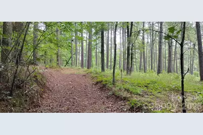 0 Nc 109 Highway S, Mount Gilead, NC 27306 - Photo 26