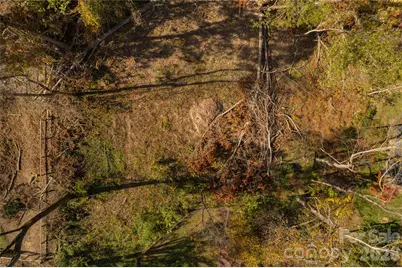 13 Bassett Road, Asheville, NC 28804 - Photo 14