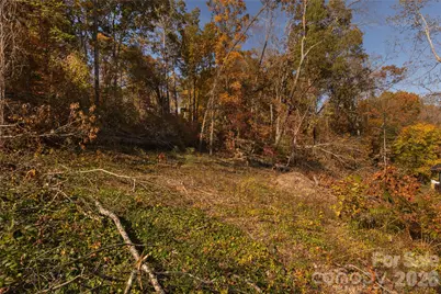 13 Bassett Road, Asheville, NC 28804 - Photo 8