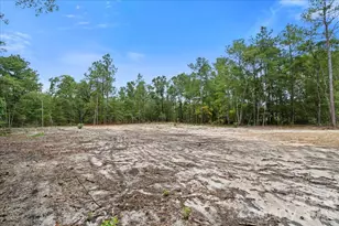 1139 Peach Orchard Rd, Jefferson, SC 29718 - Photo 4