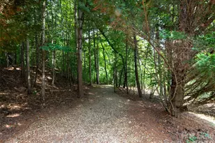 21 N Kaufman Stone Way, Biltmore Lake, NC 28715 - Photo 28