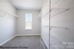 3111 Aberleaf Ln, Charlotte, NC 28227 - Photo 10