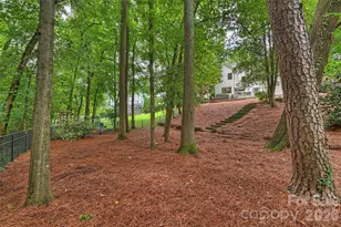1328 Ivey Dr, Charlotte, NC 28205 - Photo 34