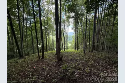 1781 High Line Road #63, Sylva, NC 28779 - Photo 2