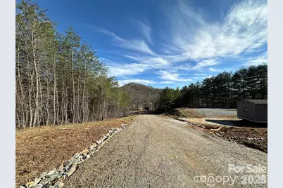 3132 Cane Creek Road, Fairview, NC 28730 - Photo 8