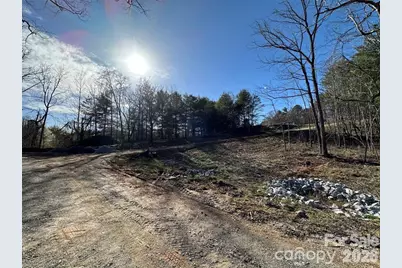 3132 Cane Creek Road, Fairview, NC 28730 - Photo 6