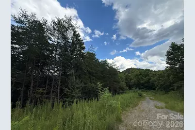 3132 Cane Creek Road, Fairview, NC 28730 - Photo 20