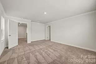 527 Palmarosa St, Fort Mill, SC 29715 - Photo 24