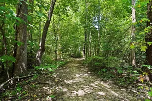 16705 Summers Walk Blvd, Davidson, NC 28036 - Photo 46