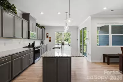 16705 Summers Walk Boulevard, Davidson, NC 28036 - Photo 16