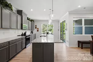 16705 Summers Walk Blvd, Davidson, NC 28036 - Photo 16