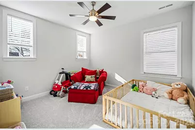 223 Lanyard Lane, Belmont, NC 28012 - Photo 28