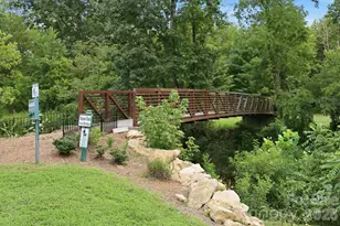 45 Creekside View Dr, Asheville, NC 28804 - Photo 48