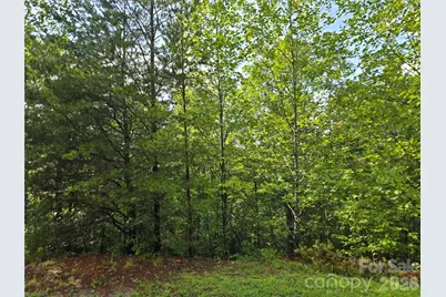 0 Pinegrove Drive #161, Bostic, NC 28018 - Photo 4