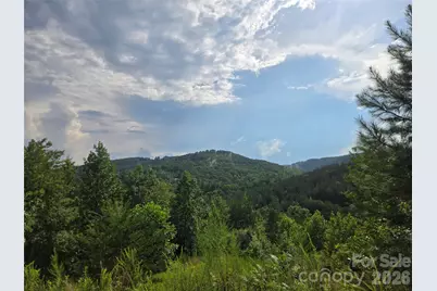 0 Pinegrove Drive #161, Bostic, NC 28018 - Photo 2