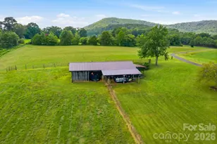 1414 Center Church Rd, Hiddenite, NC 28636 - Photo 6