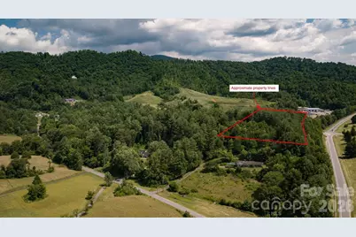 60 Upper Roberts Branch Road, Weaverville, NC 28787 - Photo 2