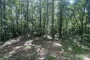 2060 US 19 Hwy S, Bryson City, NC 28713 - Photo 1
