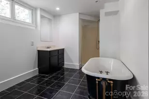 142 Edwin Pl, Asheville, NC 28801 - Photo 40