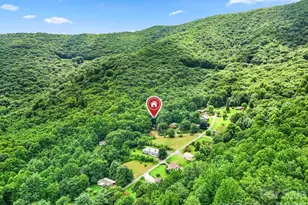 48 Easy St, Waynesville, NC 28786 - Photo 42