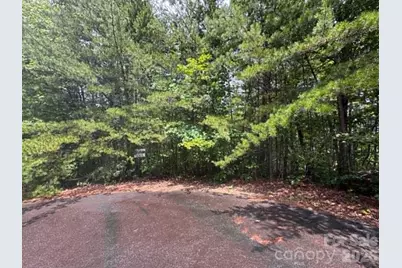Tbd Fire Tower Road, Bostic, NC 28018 - Photo 1