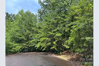 Tbd Fire Tower Road, Bostic, NC 28018 - Photo 4