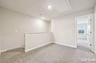 9041 Foggy Brook Loop, Charlotte, NC 28216 - Photo 16