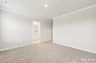 9045 Foggy Brook Loop, Charlotte, NC 28216 - Photo 20
