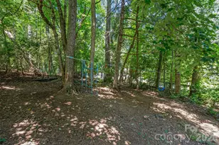 55 Greenwood Acres Dr, Mills River, NC 28759 - Photo 34