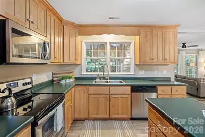 55 Greenwood Acres Drive, Mills River, NC 28759 - Photo 20
