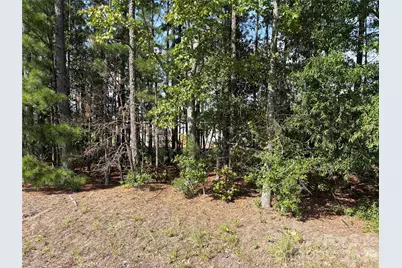 816 Hough Street, Mount Croghan, SC 29727 - Photo 36