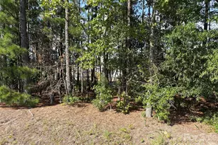 816 Hough St, Mount Croghan, SC 29727 - Photo 36