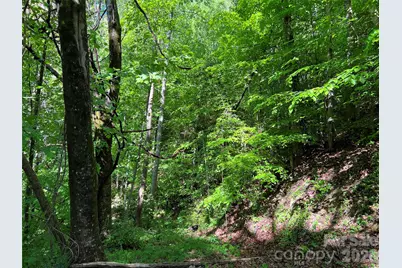 Tbd Valley Drive, Lenoir, NC 28645 - Photo 12