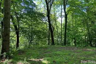 Tbd Valley Dr, Lenoir, NC 28645 - Photo 1