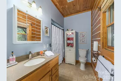 107 Tibi Lane, Waynesville, NC 28785 - Photo 22