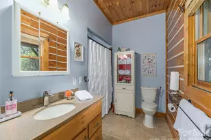107 Tibi Ln, Waynesville, NC 28785 - Photo 22