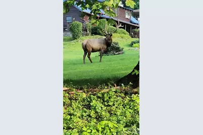 30 Hillcrest Road, Maggie Valley, NC 28751 - Photo 10