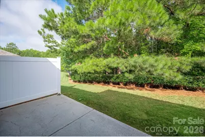 35168 Carnation Lane, Indian Land, SC 29707 - Photo 38