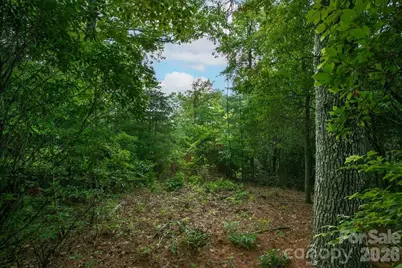 Lot 10 Emma Bri Lane #10, Hendersonville, NC 28739 - Photo 4