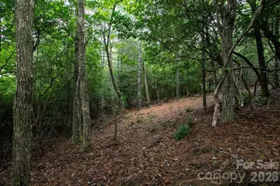 Lot 10 Emma Bri Lane #10, Hendersonville, NC 28739 - Photo 10