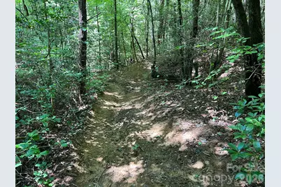 0 Old Johns River Road, Collettsville, NC 28611 - Photo 10