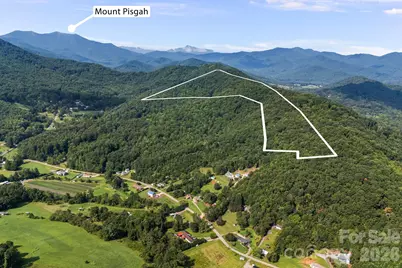 99999 Beaverdam Loop Road, Candler, NC 28715 - Photo 6