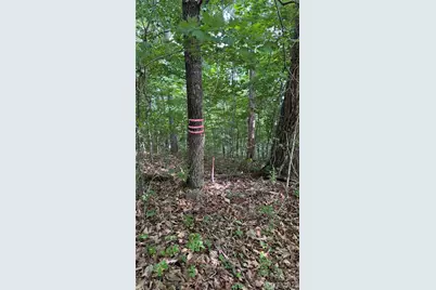 99999 Beaverdam Loop Road, Candler, NC 28715 - Photo 12