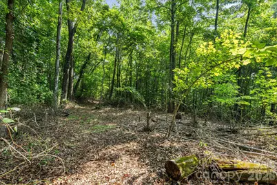 99999 Beaverdam Loop Road, Candler, NC 28715 - Photo 8