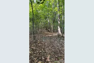 99999 Beaverdam Loop Road, Candler, NC 28715 - Photo 10